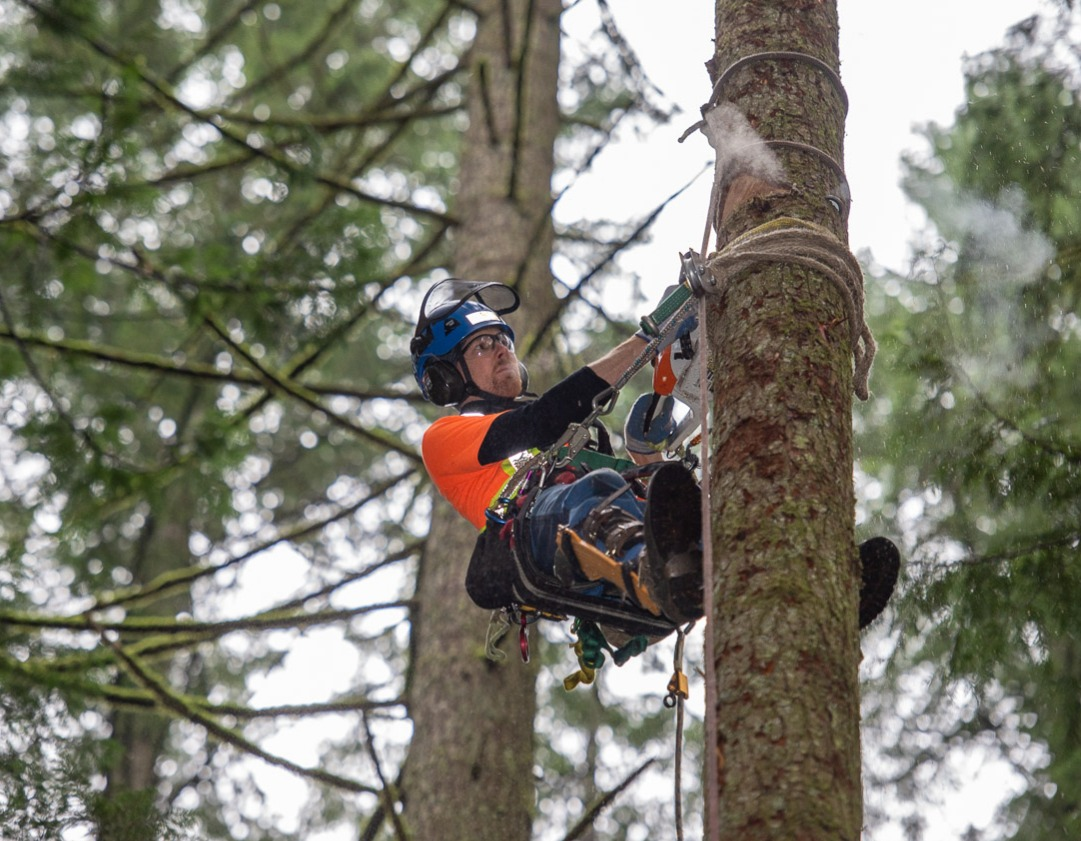 Production Tree Removal & Rigging Course